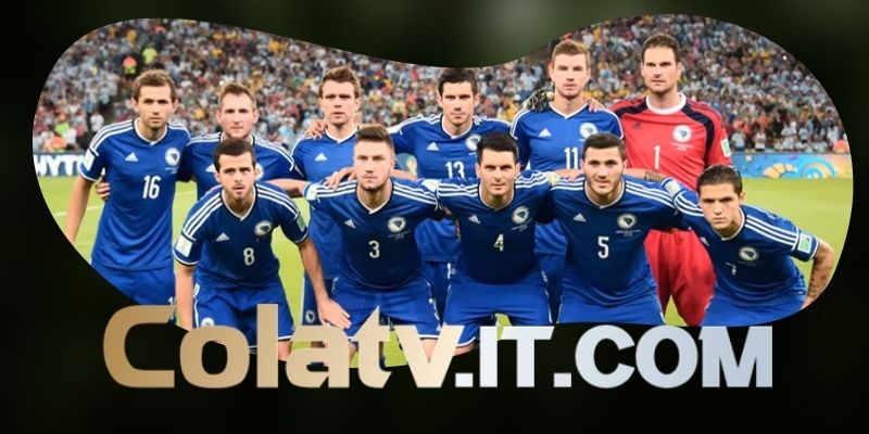 Tổng hợp dự đoán kèo trận Bosnia & Herzegovina vs Qatar ngày 25/06