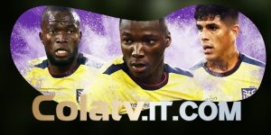 Dự Đoán Trận Ecuador Vs Đức 03h00 26/06